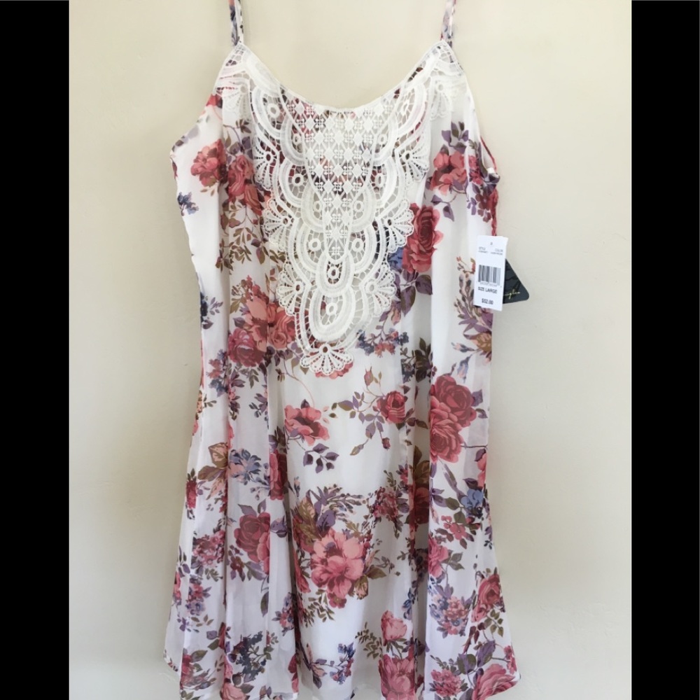 Woman’s Above the Knee Dress